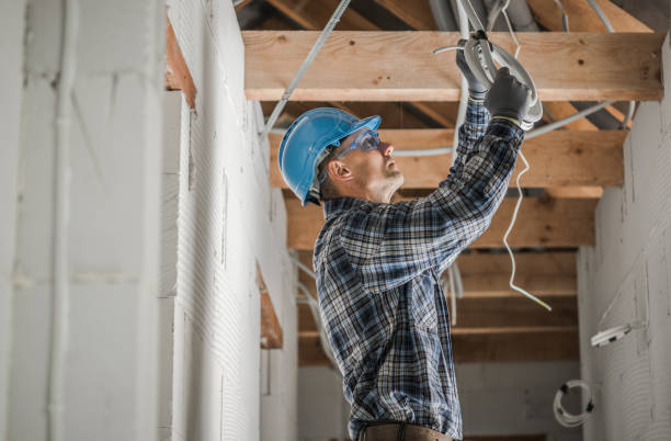 Best Licensed Electrician  in Wayland, IA