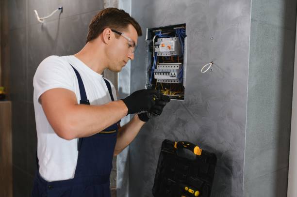 Best Electrician for Home Renovation  in Wayland, IA