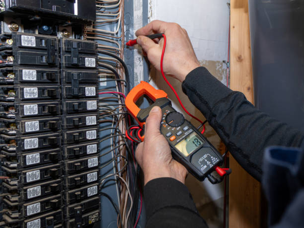 Best Electric Panel Repair  in Wayland, IA