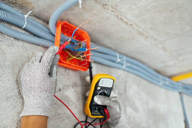 Best Electrical Troubleshooting Services  in Wayland, IA